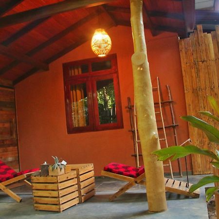 The Elephant Next-Door Udawalawe Exterior photo