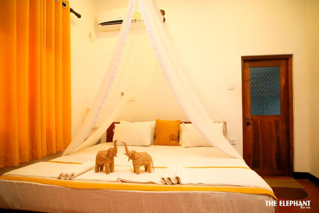The Elephant Next-Door Udawalawe Exterior photo